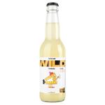 Wild Kombucha Tsytrus Kombucha 0.33l
