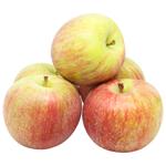 Fuji Apple