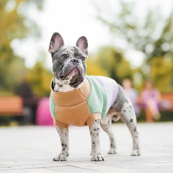 Pet Fashion Rich Sweater for Dogs s.S - buy, prices for MasterZoo - photo 2