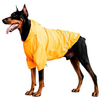 Raincoat Noble pet - buy, prices for MasterZoo - photo 1