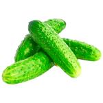 Cucumber Courage