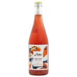 Chateau Pinot Pet-Nat Pinot Noir Extra-Brut Pink Sparkling Wine 13% 0.75l