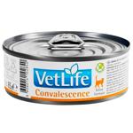 Food 85g
