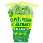 Салат Фризе