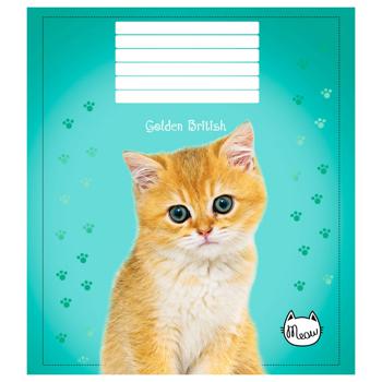 Mriyi Zbuvayutsya Lined Notebook 36 Sheets 3pcs