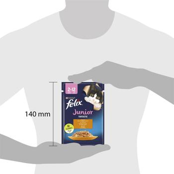 Felix Fantastic Junior Wet Food with Chicken for Kittens 85g - buy, prices for COSMOS - photo 2
