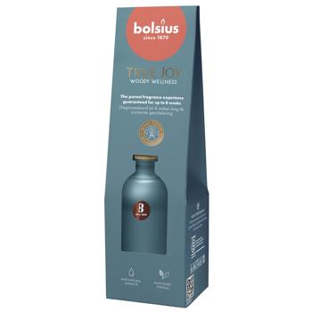 Reed diffuser Bolsius 80ml Poland - buy, prices for Tavria V - photo 1