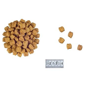 Корм сухой Royal Canin Early Renal для пожилых кошек с заболеваниями почек 400г - купить, цены на MasterZoo - фото 2