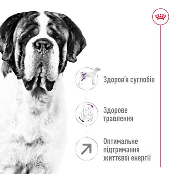 Royal Canin Dry Food with Poultry for Adult Dogs of Giant Breeds 15kg - buy, prices for MasterZoo - photo 2