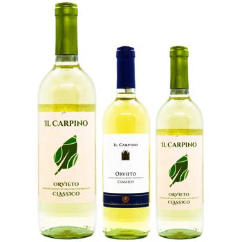Il Carpino Orvieto Wine white dry 12% 0.75l - buy, prices for METRO - photo 1