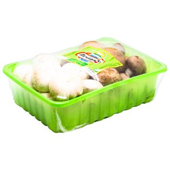 Ukrayinski Pecherytsi Duet Champignons 1kg