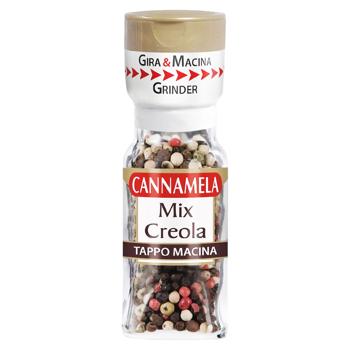 Seasoning Cannamela 25g - buy, prices for Grono - photo 1