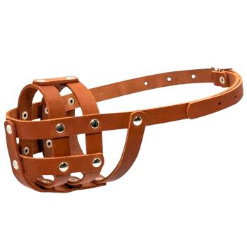 dog muzzle collar Ukraine