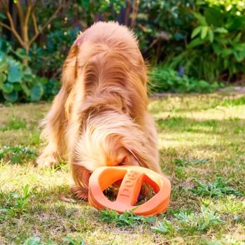 Іграшка для собак Doggi Fly & Float Frisbee 11х4,3см - купити, ціни на MasterZoo - фото 5