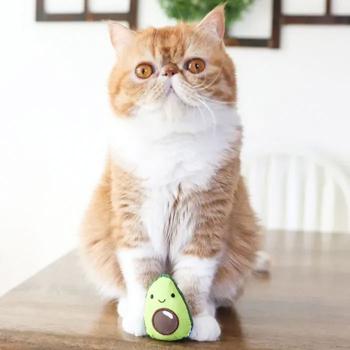 Toy Petstages - buy, prices for MasterZoo - photo 3