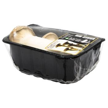 King Oyster Mushroom 300g - buy, prices for NOVUS - photo 2