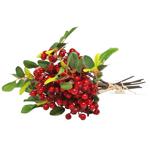 Ornamental plant Without brand China