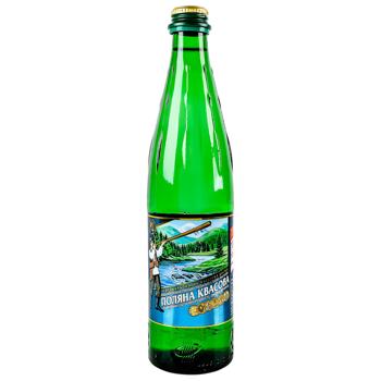 Poliana Kvasova Highly Carbonated Mineral Water 0.5l - buy, prices for EKO Market - photo 1