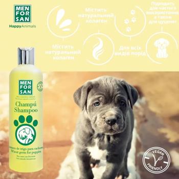 Shampoo Menforsan 300ml Spain - buy, prices for MasterZoo - photo 2