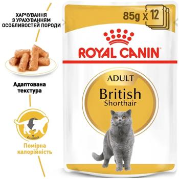 Корм вологий Royal Canin Adult з домашньою птицею для котів породи британська короткошерста 9+3шт*85г - купити, ціни на MasterZoo - фото 2