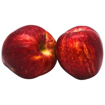 Gala Premium Apple