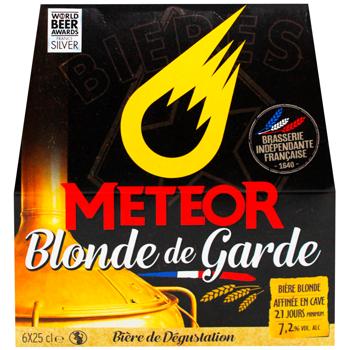 Meteor Blonde de Garde Pack Light Unfiltered Beer 7.2% 6pcs*250ml - buy, prices for WINETIME - photo 2