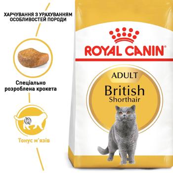 Сухий корм для котів Royal Canin British Shorthair Adult 1,6 кг + 400 г - домашня птиця - купить, цены на MasterZoo - фото 6