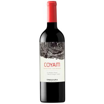 Emiliana Coyam Red Dry Wine 14% 0.75l - buy, prices for WINETIME - photo 1
