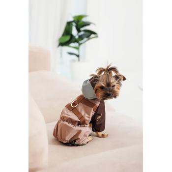 Raincoat Pet fashion Ukraine - buy, prices for MasterZoo - photo 5