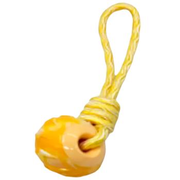 Pet Fun Ball with Rope Toy for Dogs 6x25cm Yellow - buy, prices for MasterZoo - photo 1