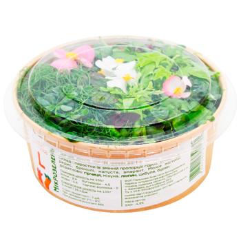 Big Boss Mix Microgreen 45g - buy, prices for WINETIME - photo 1