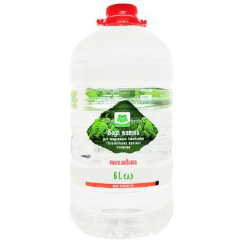 Eurogroup Derenivska Kupil Mineral Non-Carbonated Water 6l - buy, prices for COSMOS - photo 1