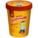 Rud Pustunchyk Chocolate Ice cream with Condensed Milk 500g