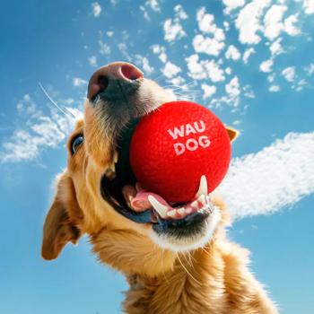 Waudog Ball іграшка для собак 7 см - червоний - купити, ціни на MasterZoo - фото 5