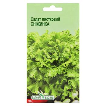 Elitsortnasinnia Snowflake Lettuce Seeds 1g