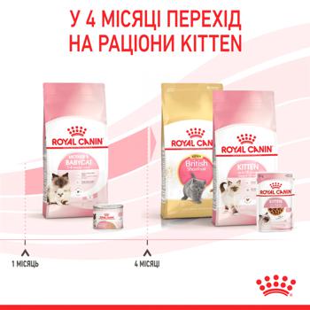 Корм сухий Royal Canin Mother And Babycat для кошенят 1-4міс 400г - купити, ціни на Восторг - фото 5