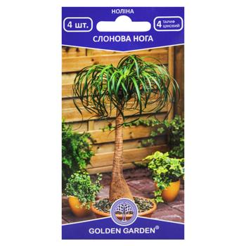 Golden Garden Nolina Recurvata Seeds 4pcs - buy, prices for MegaMarket - photo 1