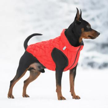 AiryVest Uni Double Sided Dog Jacket s.XS28 Red-Black - buy, prices for - photo 3
