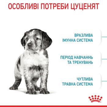 Корм сухий Royal Canin Medium Puppy для цуценят середніх порід 12кг - купити, ціни на MasterZoo - фото 2