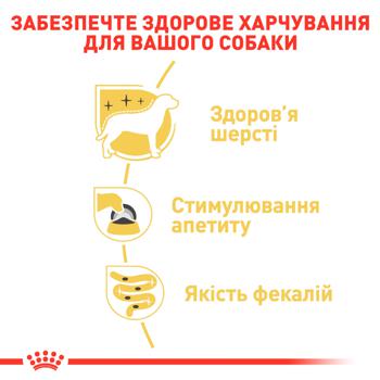 Корм влажный Royal Canin с домашней птицей для взрослых собак породы йоркширский терьер 9+3шт х 85г - купить, цены на MasterZoo - фото 2