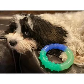 Petstages Orka Grow With Me Ring Rubber Dog Toy - buy, prices for MasterZoo - photo 4
