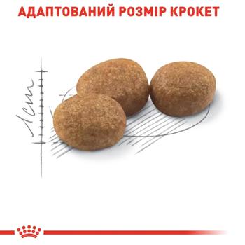Корм сухой Royal Canin Sterilised 37 с домашней птицей для стерилизованных кошек 2кг+400г - купить, цены на MasterZoo - фото 5