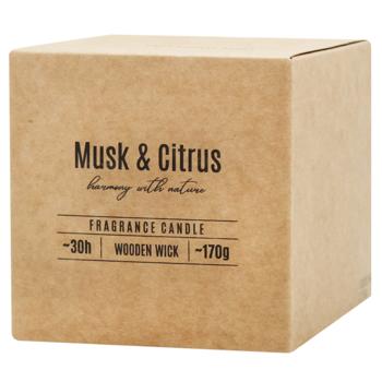 Scented candle Bispol musk Poland - buy, prices for MegaMarket - photo 3