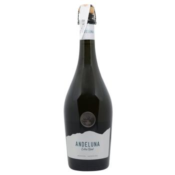 Andeluna Extra Brut Rose Sparkling Wine 12% 0.75l - buy, prices for WINETIME - photo 1