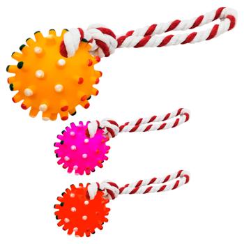 Spiked Ball with Rope Toy for Dogs 28cm - buy, prices for Tavria V - photo 1