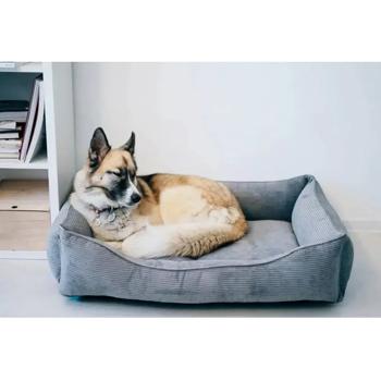 Лежак Harley and Cho Dreamer Gray Velvet L 90х60см сірий - купити, ціни на MasterZoo - фото 5