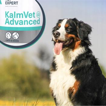 Харчова добавка для собак VetExpert KalmVet Advanced 60 шт - купити, ціни на MasterZoo - фото 6