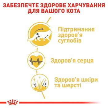 Royal Canin Dry Food for Cats of Maine Coon Breed 2kg - buy, prices for MasterZoo - photo 3