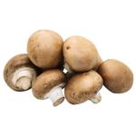 Mushrooms cup mushrooms fresh