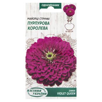 Semena Ukrayny Purple Queen Elegant Zinnia Flowers Seeds 0.5g